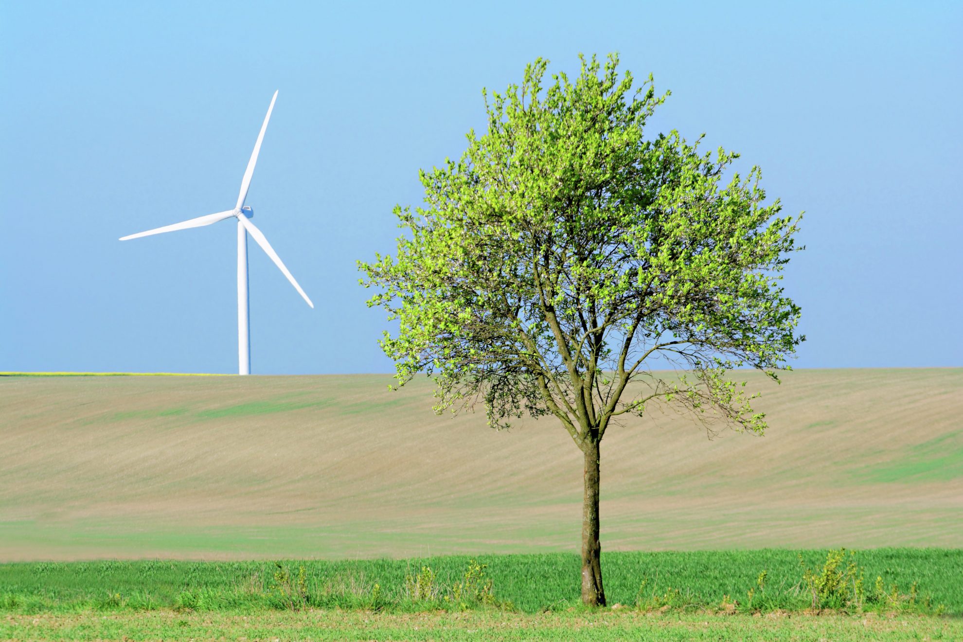 Windrad mit Baum im Vordergrund, Symbolbild
